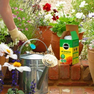 Miracle-Gro All Purpose Plant Food 1kg 4 Miracle-Gro All Purpose Plant Food 1kg - Image 2