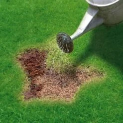 Miracle-Gro Patch Magic Grass Seed, Feed & Coir 1.1kg -B and M Shop 245940 miracle gro patch magic grass seed feed and coir 3