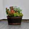 B&M Oakwood Barrel Planter 50cm -B and M Shop 291239 oakwood barrel planter 50cm