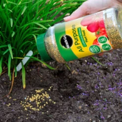 Miracle-Gro Continuous Release Plant Food 1kg -B and M Shop 309721 miracle gro continuous release plant food 1kg 2