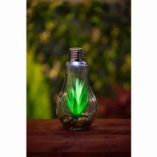 Succulent Solar Light Bulb 4 Succulent Solar Light Bulb - Image 2