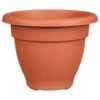 B&M Bell Pot Planter 30cm - Terracotta -B and M Shop 369864 bell pot planter 30cm terracotta