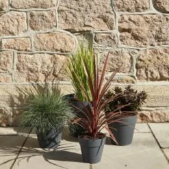 B&M Soho Pot Planter - Charcoal 28cm -B and M Shop 378389 385058 381595 soho planter charcoal 38cm 28cm 17cm