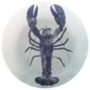 B&M Ocean Print Plate - Lobster -B and M Shop 381060 ocean print plate lobster