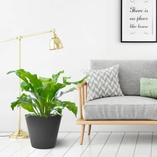 B&M Octavia Planter 38cm - Slate 4 B&M Octavia Planter 38cm - Slate - Image 2