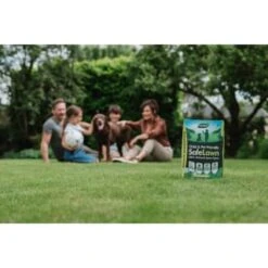 B&M Westland Safe Lawn Spreader Box 80m2 -B and M Shop 384000 safe lawn spreader box 80m 4