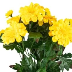 B&M Zinnia Plant Pot - Yellow -B and M Shop 392826 zinnia in pot yellow 2