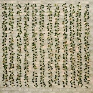 Solar Powered Artificial Ivy Leaf Curtain 180 X 180cm 3 Solar Powered Artificial Ivy Leaf Curtain 180 X 180cm