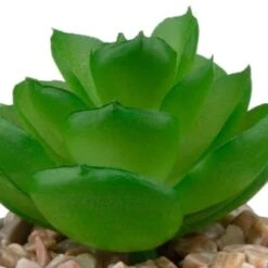 B&M Assorted Small Concrete Succulents -B and M Shop 394713 small concrete succulent 6